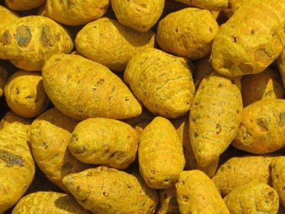 dried turmeric bulb