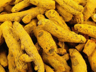 dried turmeric finger