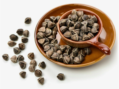 moringa seeds